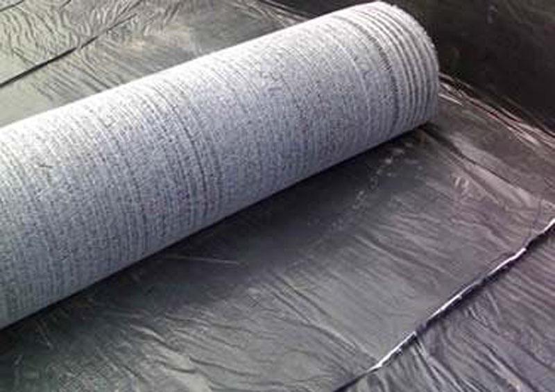 鈉基膨潤土防水毯