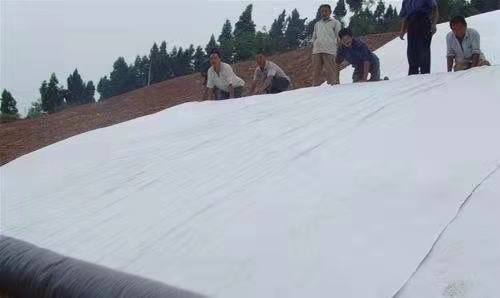 覆蓋膨潤土防水毯