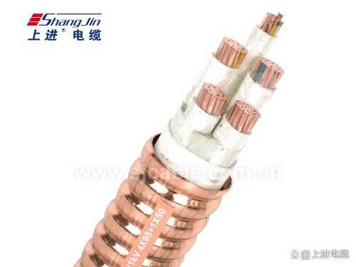 RTTZ電纜用什么材料結(jié)構(gòu)？(圖1)