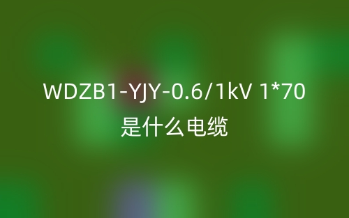 WDZB1-YJY-0.6/1kV 1*70是什么電纜？(圖1)