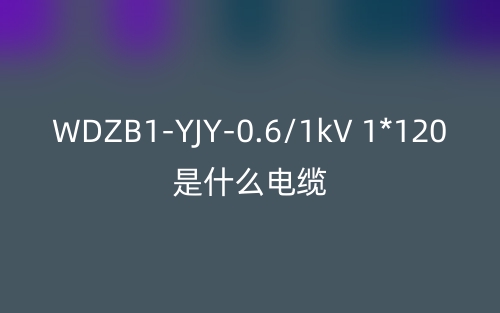 WDZB1-YJY-0.6/1kV 1*120是什么電纜？(圖1)