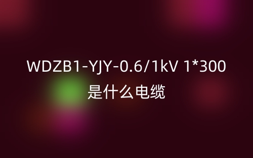 WDZB1-YJY-0.6/1kV 1*300是什么電纜？(圖1)