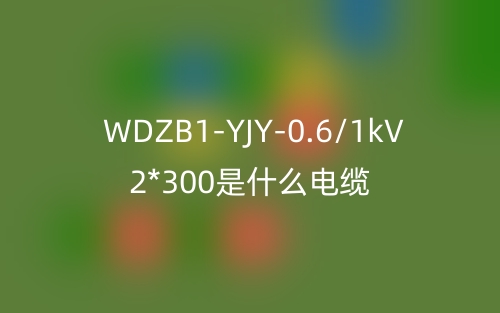 WDZB1-YJY-0.6/1kV 2*300是什么電纜？(圖1)