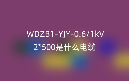 WDZB1-YJY-0.6/1kV 2*500是什么電纜？(圖1)