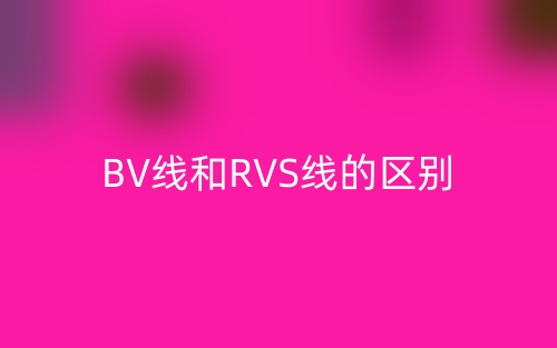 BV線和RVS線的區(qū)別(圖1)