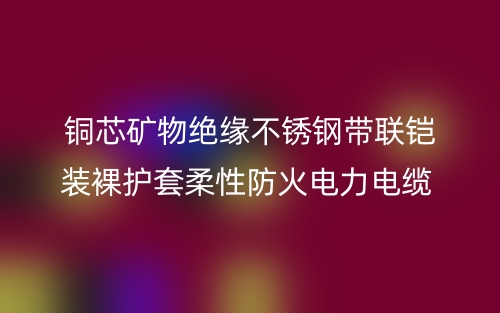 銅芯礦物絕緣不銹鋼帶聯(lián)鎧裝裸護套柔性防火電力電纜 (圖1)