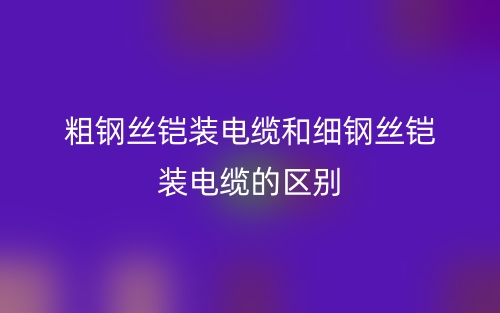粗鋼絲鎧裝電纜和細(xì)鋼絲鎧裝電纜的區(qū)別是什么？(圖1)