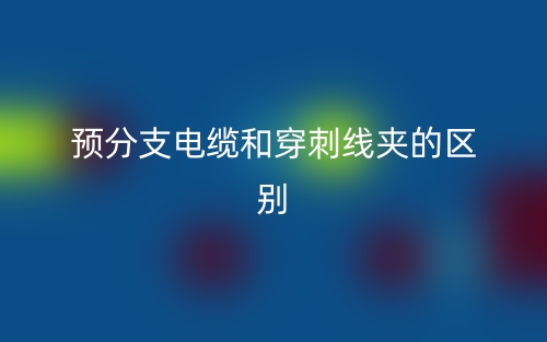 預(yù)分支電纜和穿刺線夾的區(qū)別是什么？(圖1)