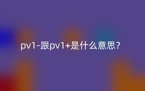 pv1-跟pv1+是什么意思？(圖1)