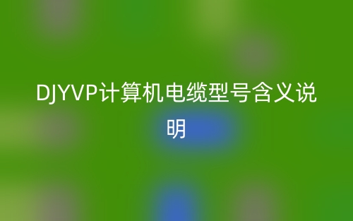 DJYVP計算機電纜型號含義說明(圖1)