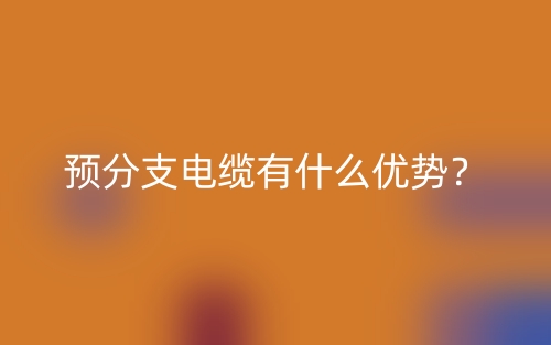 預(yù)分支電纜有什么優(yōu)勢？(圖1)