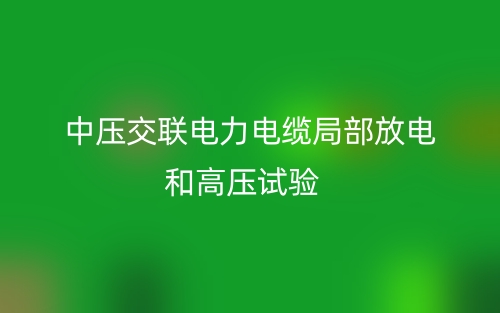 中壓交聯(lián)電力電纜局部放電和高壓試驗(圖1)