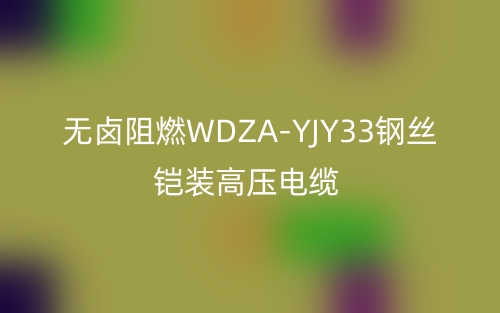 無鹵阻燃WDZA-YJY33鋼絲鎧裝高壓電纜(圖1)