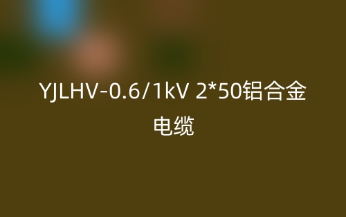 YJLHV-0.6/1kV 2*50鋁合金電纜價格_YJLHV-2*50載流量(圖1)