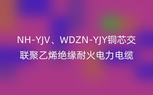 NH-YJV、WDZN-YJY銅芯交聯(lián)聚乙烯絕緣耐火電力電纜(圖1)