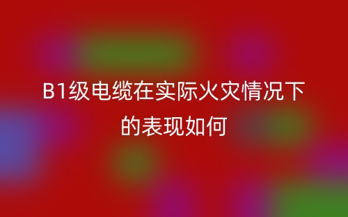 B1級電纜在實際火災情況下的表現(xiàn)如何(圖1)
