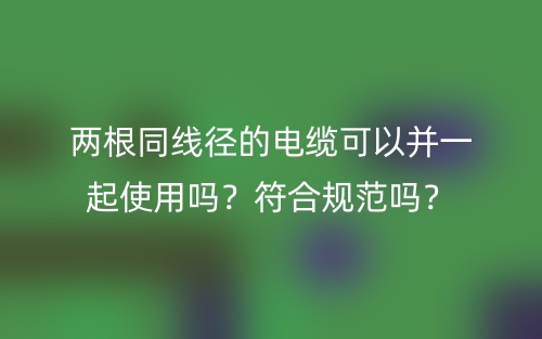 兩根同線徑的電纜可以并一起使用嗎？符合規(guī)范嗎？(圖1)